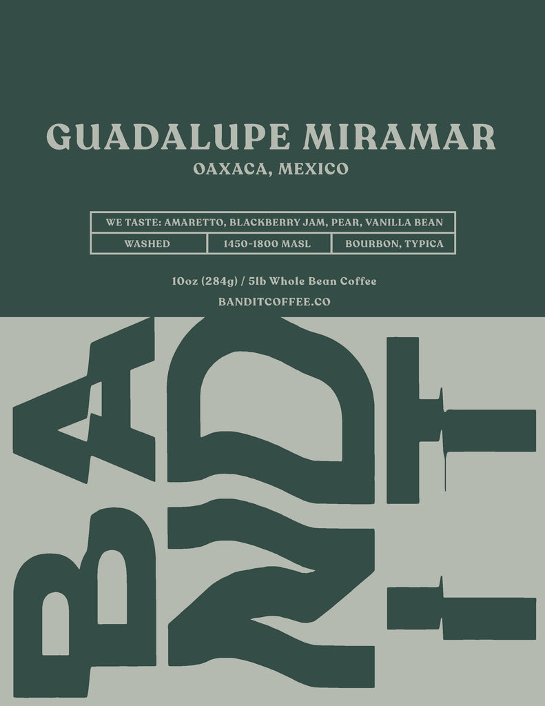 MEXICO GUADALUPE MIRAMAR