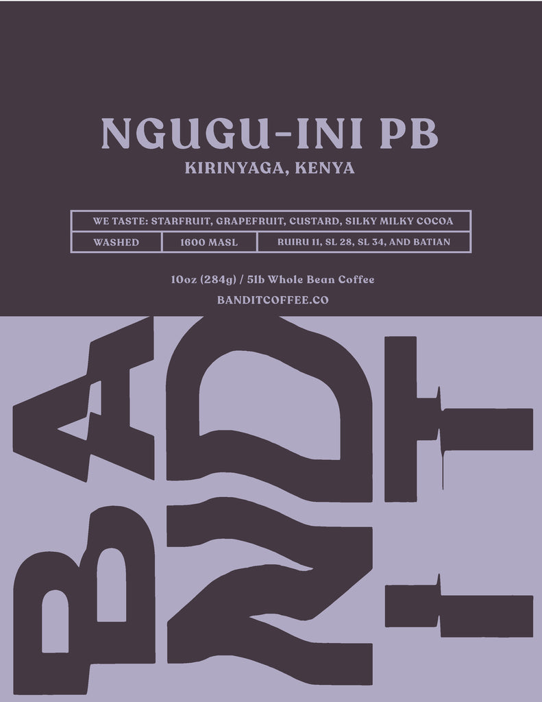 KENYA NGUGU-INI PB