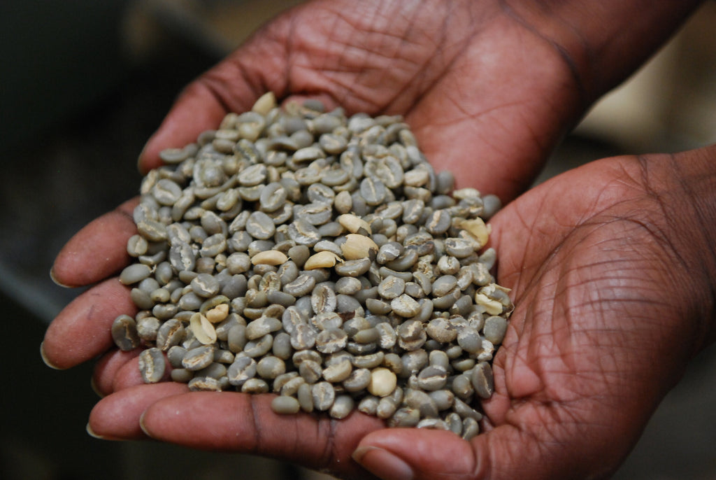 KENYA KII PB