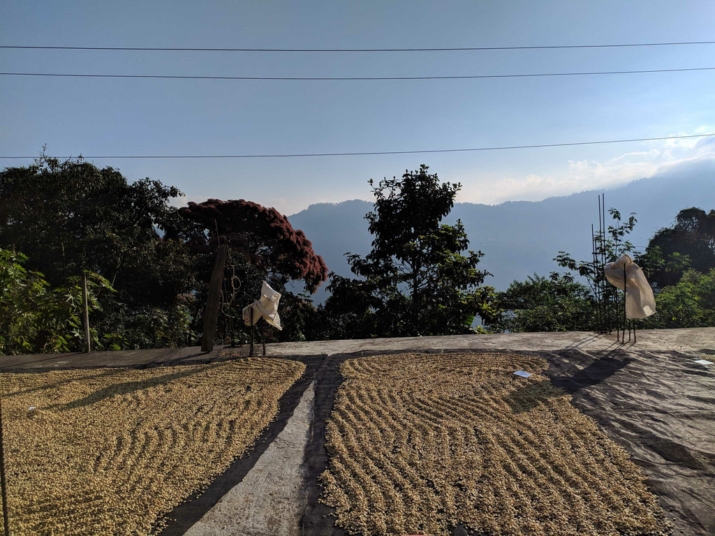 MEXICO MIRAMAR ESPECIAL