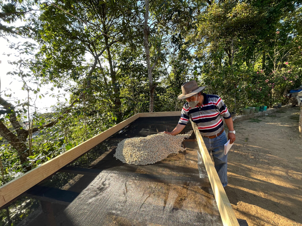 MEXICO MIRAMAR ESPECIAL